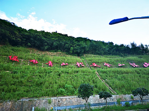 戶(hù)外景觀(guān)-綠水青山就是金山銀山